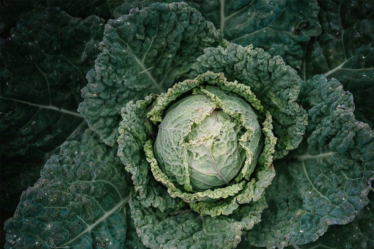 Bilder-quer-Franck-1200px10