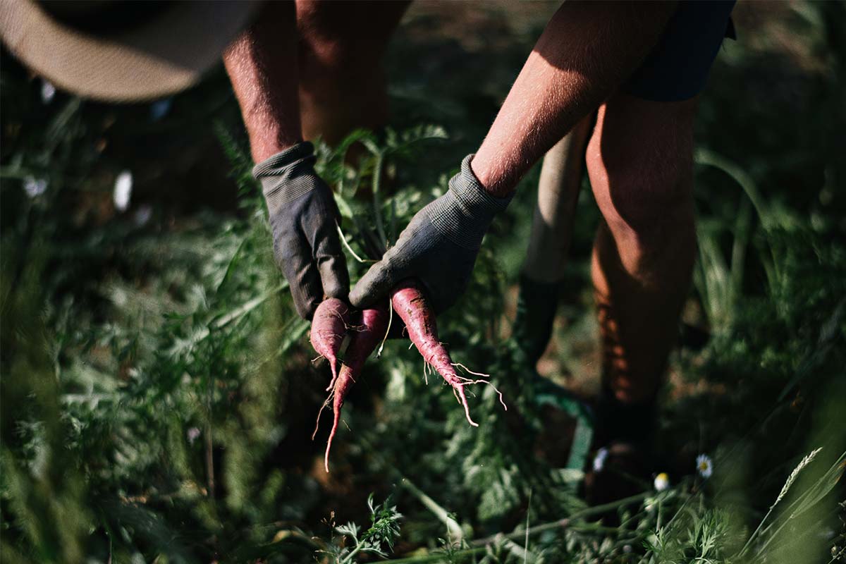 Bilder-quer-Franck-1200px11