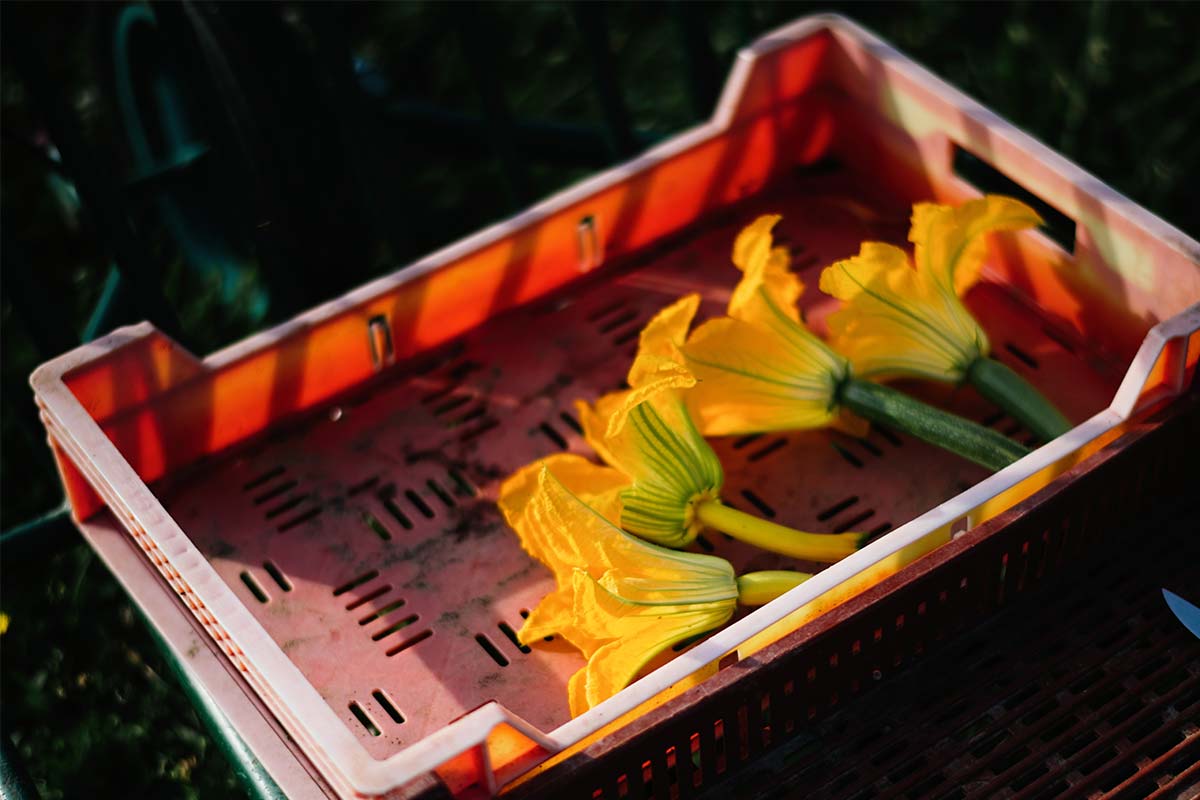 Bilder-quer-Franck-1200px16