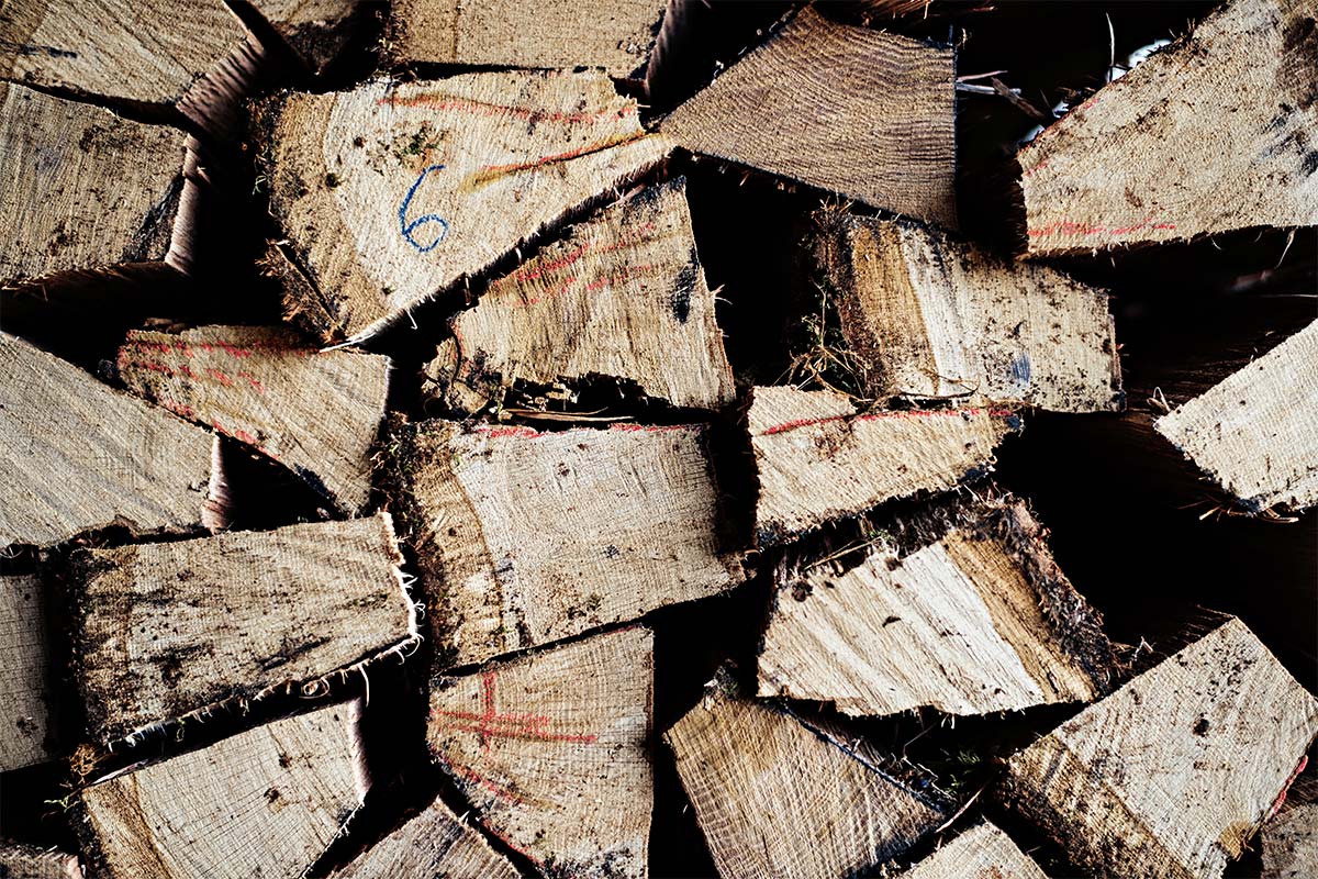 Bilder-quer-Franck-1200px38