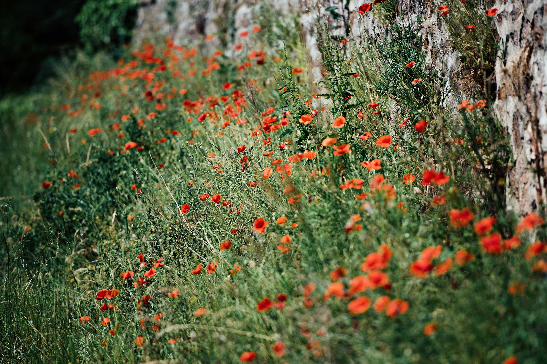 Bilder-quer-Franck-1920px26