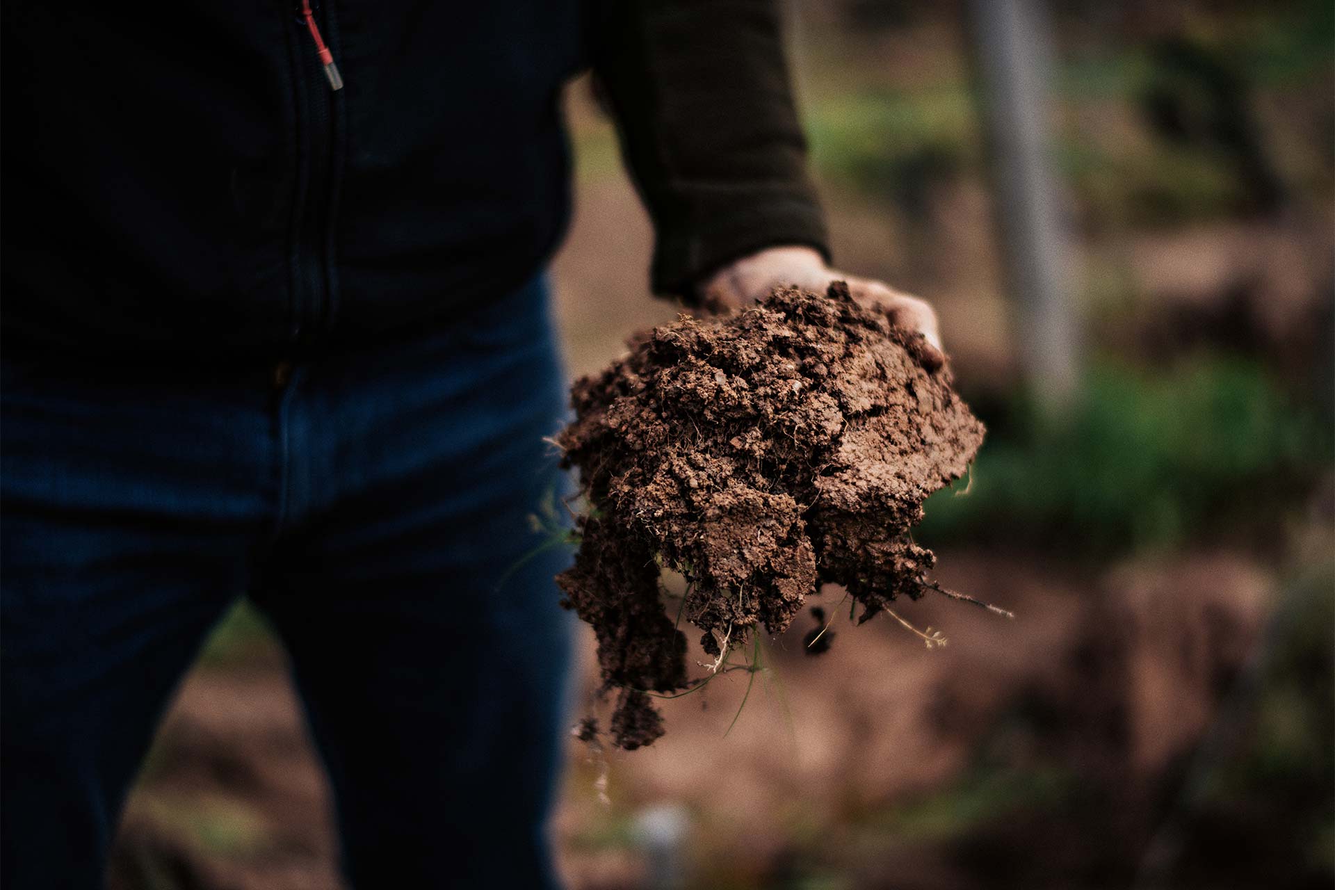 Bilder-quer-Franck-1920px49