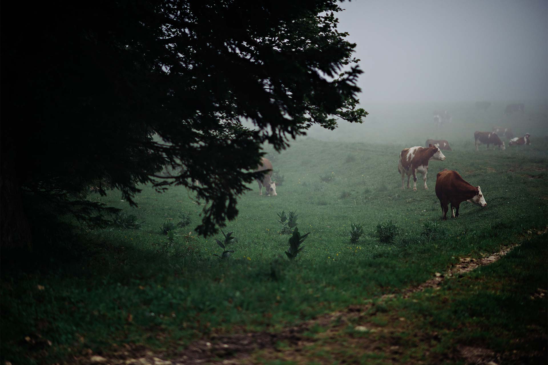 Bilder-quer-Franck-1920px52